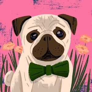 Meet your Posher, Georgia